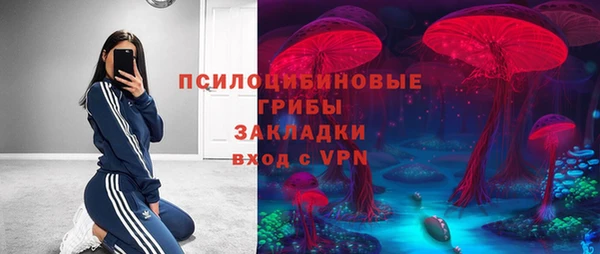mdpv Горняк