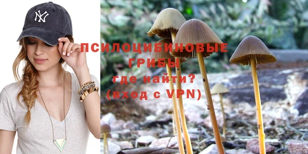 mdpv Горняк