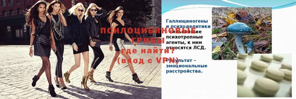 mdpv Горняк