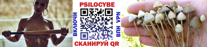 Галлюциногенные грибы мицелий  дарк нет какой сайт  Москва  цены  